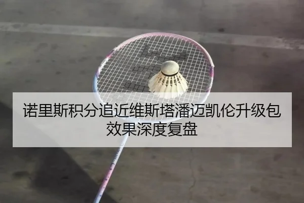 诺里斯积分追近维斯塔潘迈凯伦升级包效果深度复盘